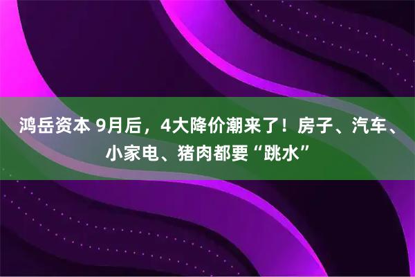 鸿岳资本 9月后，4大降价潮来了！房子、汽车、小家电、猪肉都要“跳水”