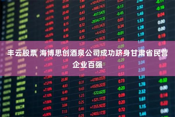 丰云股票 海博思创酒泉公司成功跻身甘肃省民营企业百强