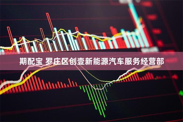 期配宝 罗庄区创壹新能源汽车服务经营部